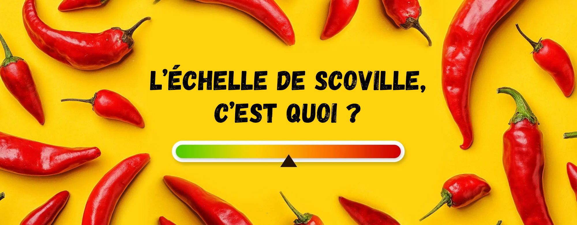 L Chelle De Scoville Capsi