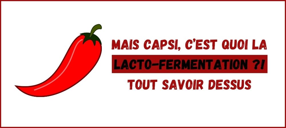 Lire la suite à propos de l’article La lacto-fermentation