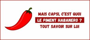 Lire la suite à propos de l’article 2# Le Piment Habanero