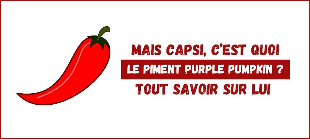 Lire la suite à propos de l’article 3# Piment Purple Pumpkin